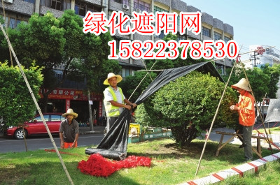 天津遮陽網大量批發-銷售部電話:15822378530(歡迎來電咨詢)_化工機械設備_其它設備_其它_產品庫_中國化工儀器網